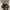 Thanksinsomnia Streetwear Sneakers Pria Multicolor
