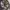 Main Line Realtree Camo photo 6