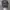 Main Line Realtree Camo photo 2