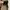 Birkenstock Zurich SFB Suede Sandals  photo 4