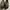 Birkenstock Zurich SFB Suede Sandals  photo 3