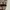 Birkenstock Arizona photo 4