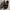Birkenstock Arizona photo 3