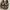 Birkenstock Arizona photo 3