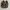 Birkenstock Arizona photo 2