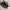 Birkenstock Arizona photo 5