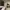 American Eagle Canvas Cargo Pant photo 6