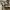 American Eagle Canvas Cargo Pant photo 5