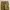 American Eagle Canvas Cargo Pant photo 2