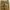 American Eagle Canvas Cargo Pant photo 8