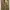 American Eagle Canvas Cargo Pant photo 3