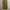American Eagle Canvas Cargo Pant photo 7