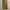 American Eagle Canvas Cargo Pant photo 1