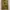 American Eagle Canvas Cargo Pant photo 10