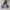 2000's Heavyweight Charcoal Hoodie Boxy photo 1