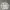 00's Vintage Longsleeve Shirt Cream Boxy photo 2