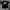 T SHIRT KAOS STUSSY photo 2