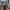 Barbour Peninne Chuka Boots photo 2