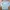 Sports Outwear Penfield Longsleeve
