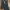 Zinshen Flare Jeans Bottom Bell photo 3