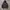 Champion Tape Logo Hoodie photo 1