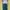 SweatPants TieDye GreenHunter photo 1