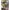Funko Pop! Gwen Stacy (ATSV) 1234 photo 1