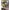 Funko Pop! Gwen Stacy (ATSV) 1234