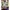 Funko Pop! Gwen Stacy (ATSV) 1234