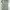 LOEWE Green Motive Dress photo 5