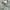 LOEWE Green Motive Dress photo 7