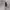 Jaket Pullover Hoodie Grooverhyme Light Grey Second XL  photo 9