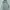 Jaket Columbia Parasut Lightweight AOV Grey Second  photo 2