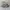 Adidas Yeezy 500 photo 1