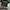 Bootleg By KKontener "Gorillaz - Plastic Beach" Band Music