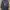 Sweater Jumbo Oversize Kuromi Navy Champion Original photo 1