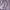 Sweater Crop Lilac Daisy Bordir Wanita photo 4