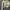 Cardigan Crop Lime Green Wanita photo 2