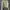 Cardigan Crop Lime Green Wanita photo 1