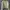Cardigan Crop Lime Green Wanita
