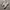 Nike Air Force 1 React Dimsix photo 1