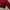 Hoodie Oversize Newyork College photo 4