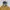 Unknown parka size M wanita G035 photo 3