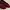 Flatshoes Wanita 