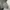 Work Jacket Boxy Double Zipper photo 7