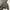 GU x Rokh Qualited Check Blouson Boomber Jacket photo 4
