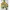 Vintage Sweater Wanita green yellow photo 1