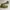 DELTA BOOTS CORDURA photo 5