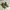 DELTA BOOTS CORDURA photo 3