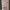 Alaia Pink Her Ballet Ruffle Dress